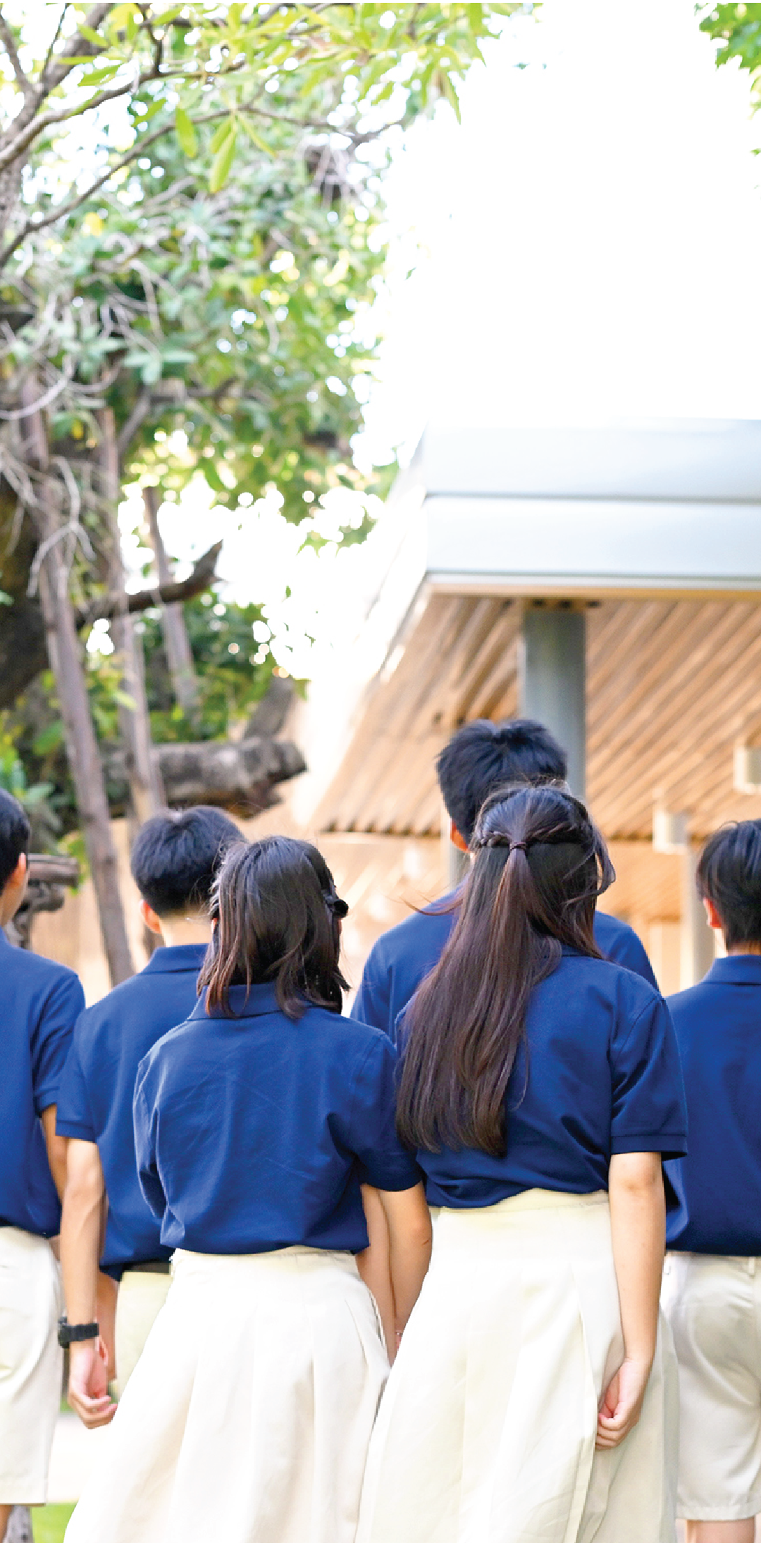 Zenith Background Mobile